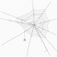 蜘蛛网效果
