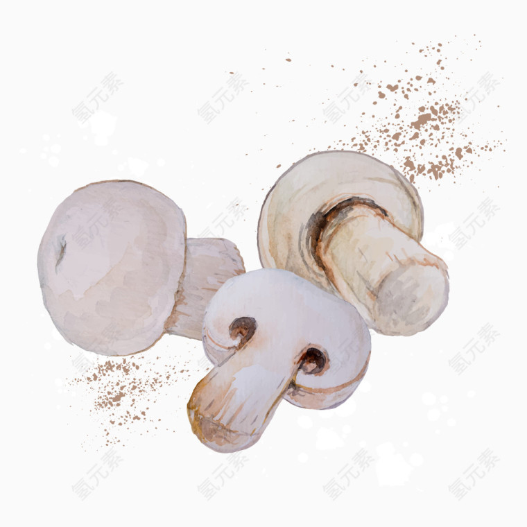 矢量水彩蘑菇