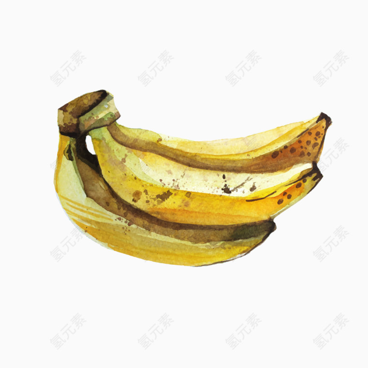 手绘香蕉 