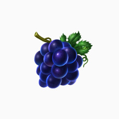 手绘紫葡萄