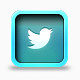 twitter logo 图标