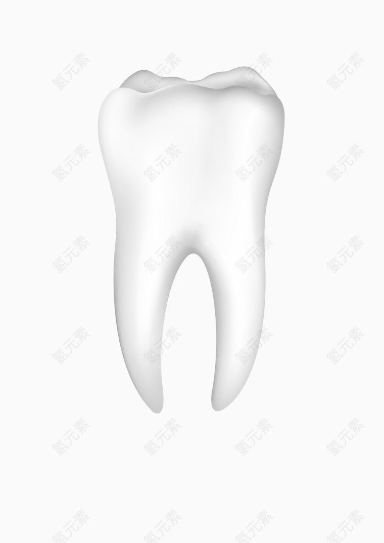 洁白的牙齿健康的牙齿单个牙齿
