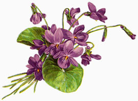手绘花素描手绘花图案 紫色花朵