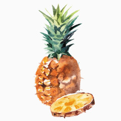 卡通手绘菠萝菠萝片
