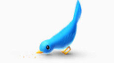 鸟推特tweetmyweb