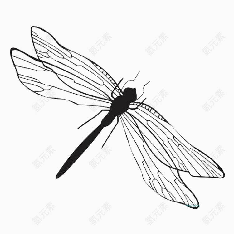 蜻蜓PNG免抠图素材