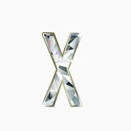 字母X