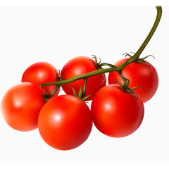 逼真西红柿