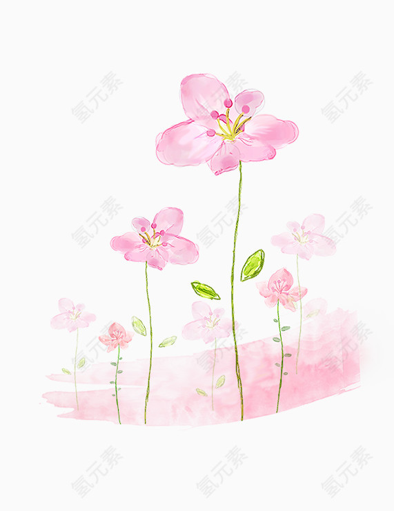粉色花朵手绘插画