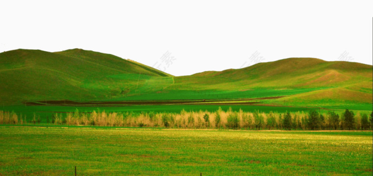 内蒙古旅游呼伦贝尔草原
