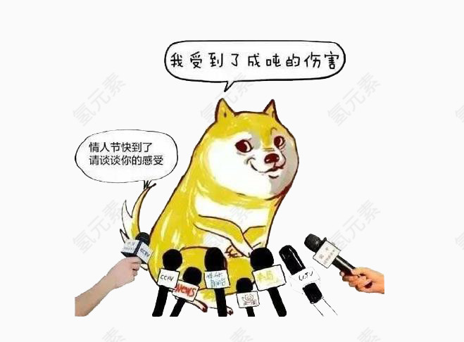 单身狗采访专题