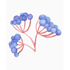水彩手绘紫色小果子