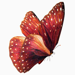 手绘唯美红色蝴蝶