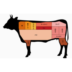 日语版牛部位名称