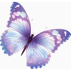 蓝色荧光蝴蝶