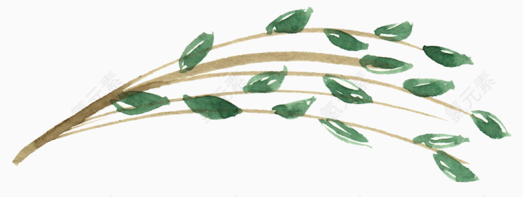 手绘水彩绿色叶子装饰图案