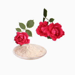 玫瑰花和糯米粉