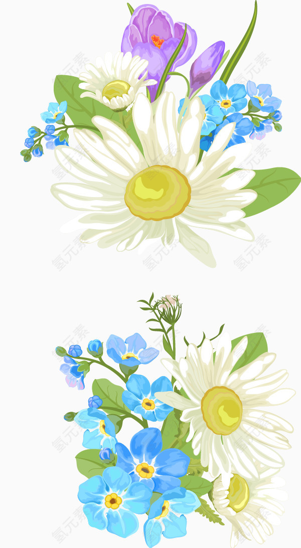 白色绽放的花朵