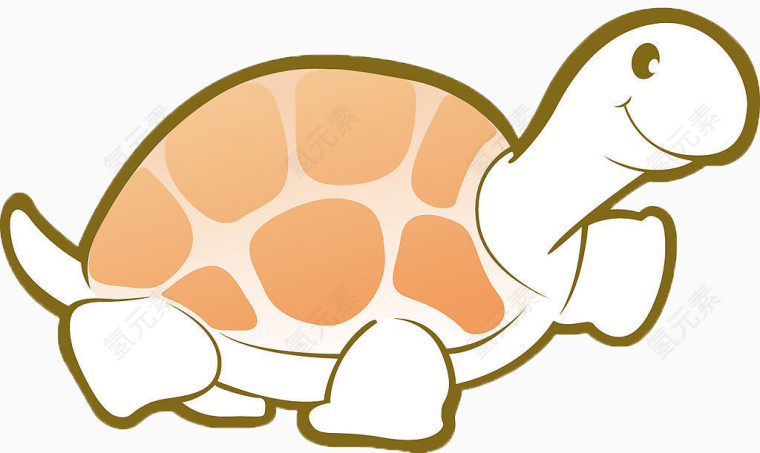 乌龟 动物 龟鳖目