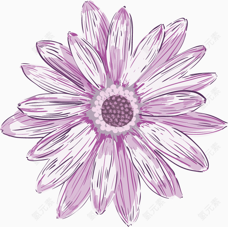 精致的紫花