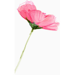 水墨水彩粉色花朵