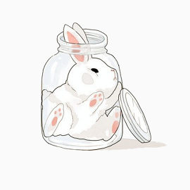 瓶子里的兔子