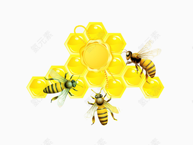 蜜蜂蜂王浆