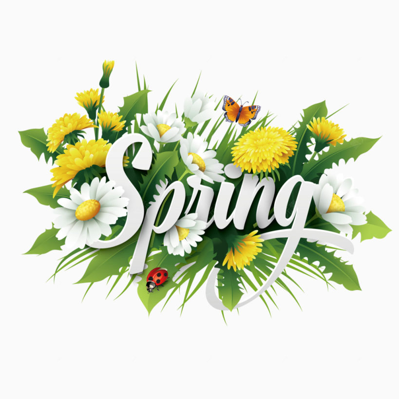 春天spring花下载