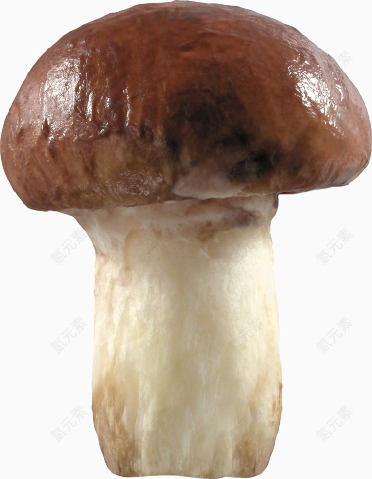 一个蘑菇 