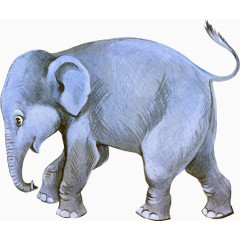 卡通绘画蓝色的大象动物
