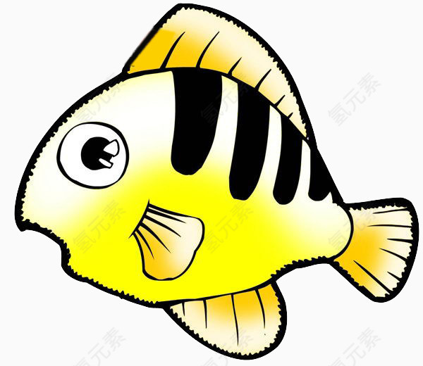 鱼 水生物 水族 动物