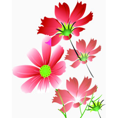 粉色温馨卡通花朵植物