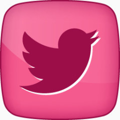推特pink-girly-social-icons