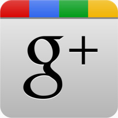 googleplus灰色Google +