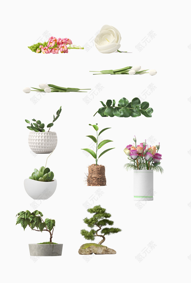 盆景植物装饰元素合集