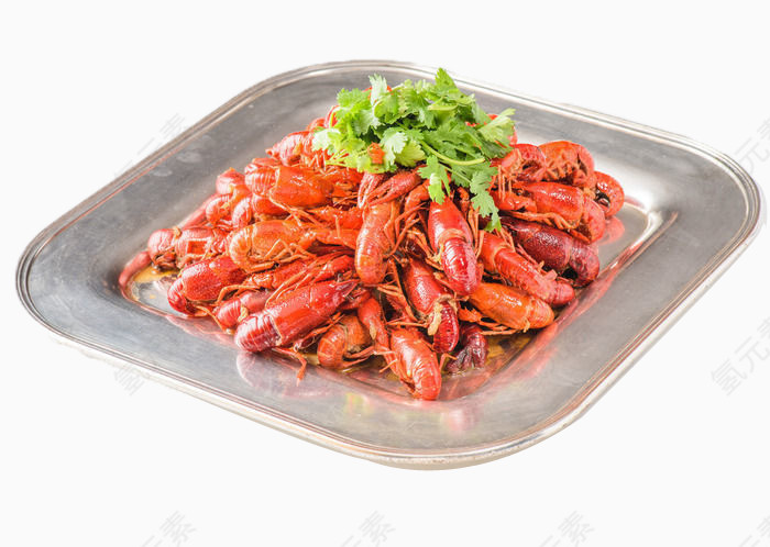 芹菜红龙虾