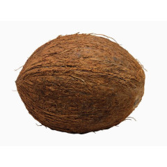 成熟的椰子