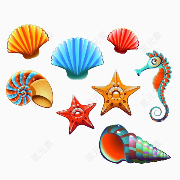 贝壳海马海螺扇贝手绘素材