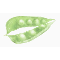 绿色漂亮蚕豆