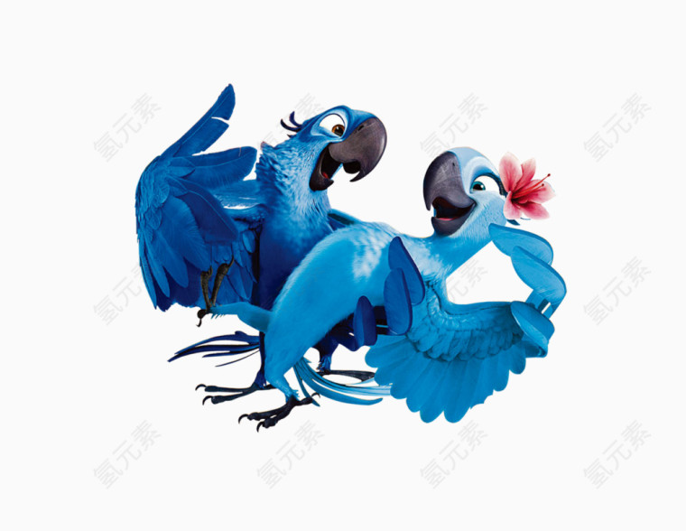 蓝色鹦鹉动物免费下载