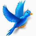 飞行鸟推特闪耀动物社会网络社会锡我的网站
