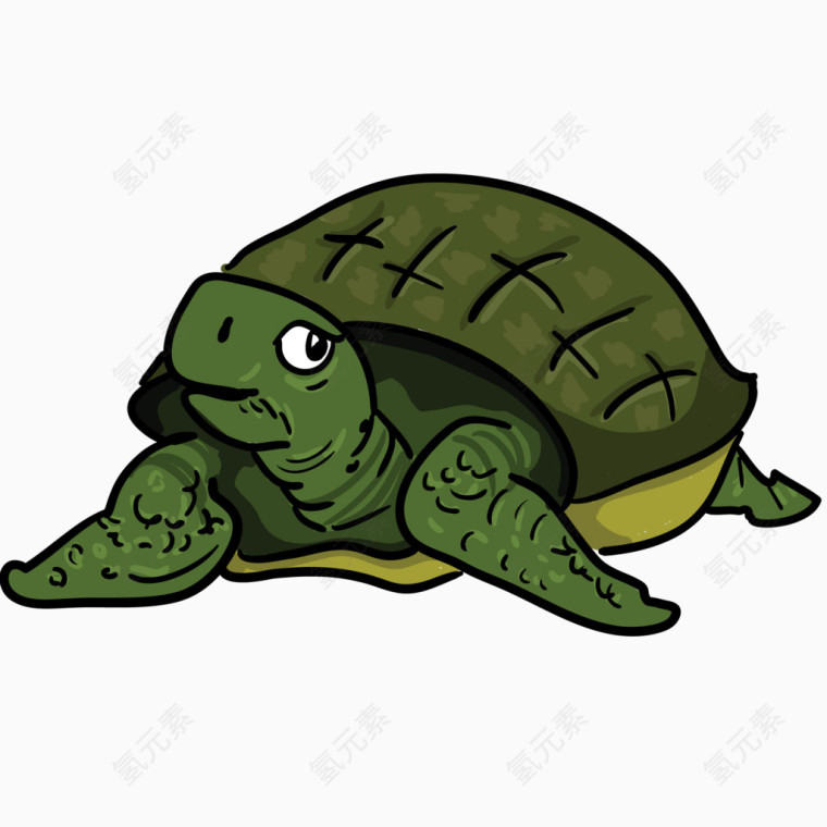 绿色乌龟