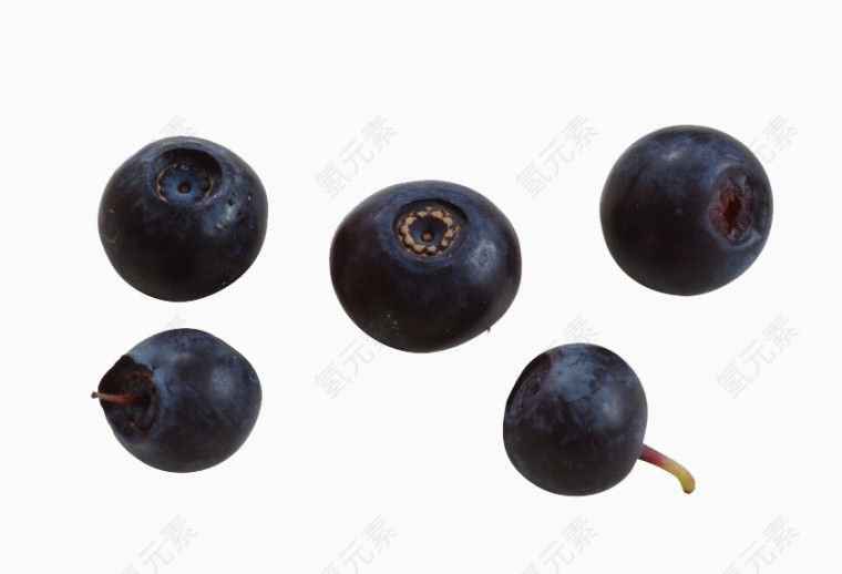 五颗蓝莓