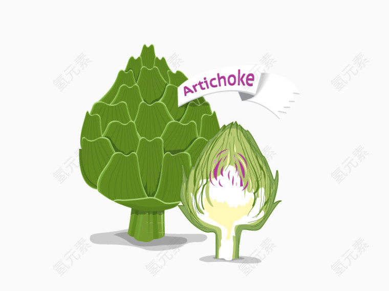 artichoke菜矢量素材