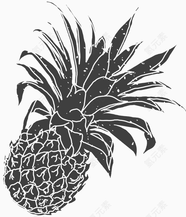 手绘黑白菠萝图片