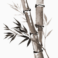 手绘中国风竹子