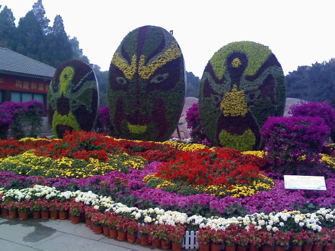 北京植物园景点