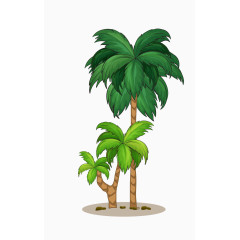 沙滩精美椰子树