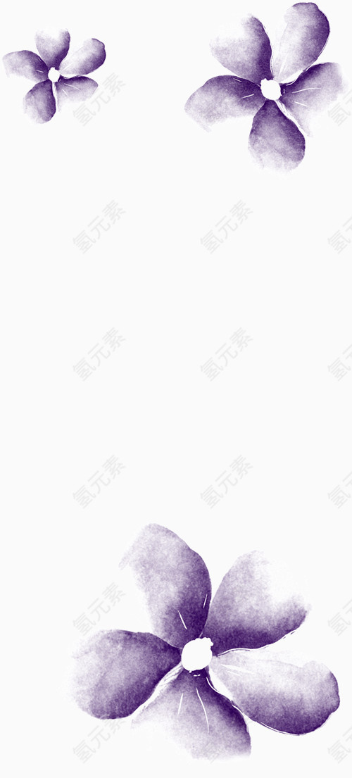 素描紫色花朵