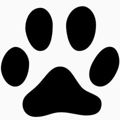 Animals Cat Track Icon